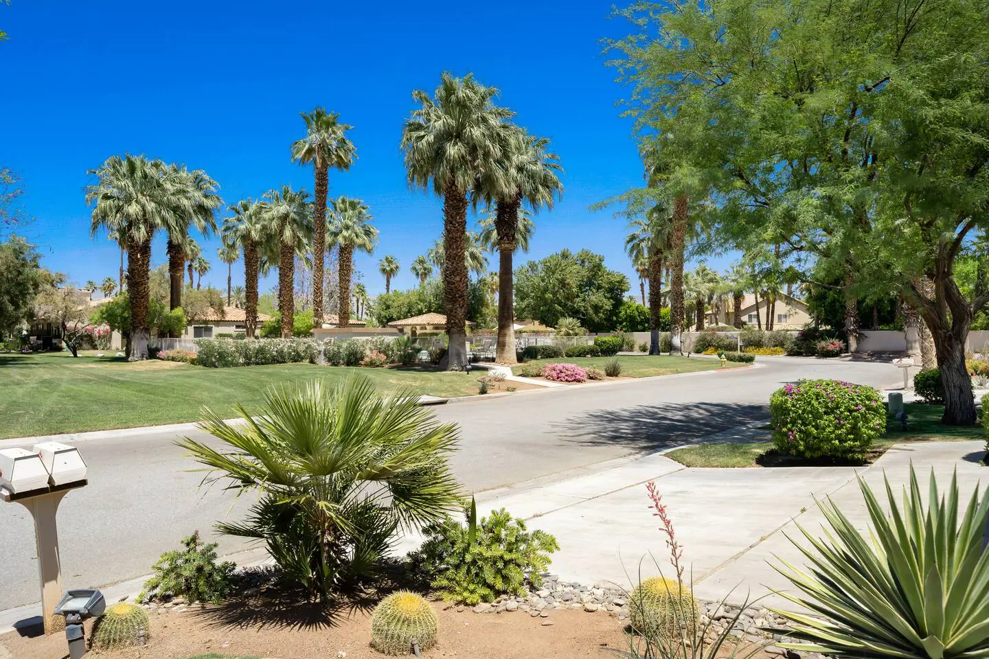 b8525044 ebf1 4058 8f6d ac73b2eed89a.jpg